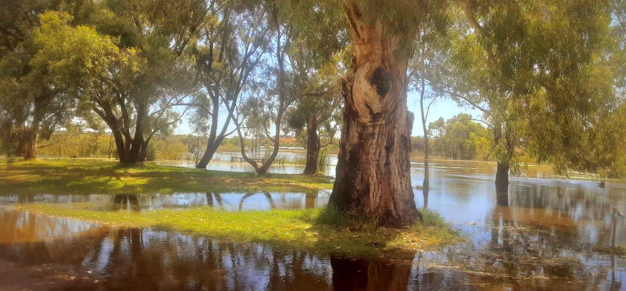 Reflections of the flood